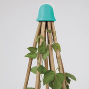 8 CaneTopper - Turquoise + Seed