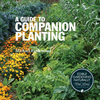 A Guide To Companion Planting