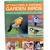 A Practical Illustrated Guide To Attracting & Feeding Garden Birds