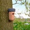 Acorn Bird House