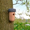 Acorn Bird House