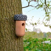Acorn Bird House