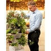Acqua Garden Solar