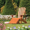 Adirondack Chair