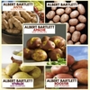 Albert Bartlett Potato Collection