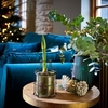 Amaryllis Bulb in Metal Planter