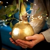 Amaryllis Red Bulb - Giant Wax Gold