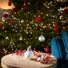 Amaryllis Wax Bulb - White/snow coating