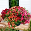 Antirrhinum Seeds - Candy Showers