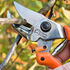 Anvil Secateurs Curved Blade