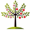 Apple Tree - Duo Jonagold/Golden Delicious