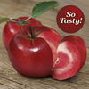 Apple Tree - Redlove