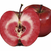 Apple Tree - Redlove