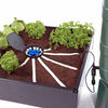 Aquabox Spyder Self-Watering System