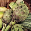 Artichoke Plants - Green Globe