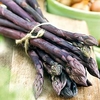 Asparagus Crowns - Erasmus