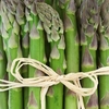Asparagus Crowns - Gijnlim