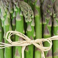Asparagus Crowns - Gijnlim