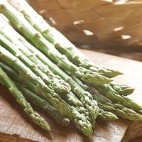Asparagus Crowns - Guelph Millennium