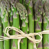 Asparagus Crowns - Mondeo