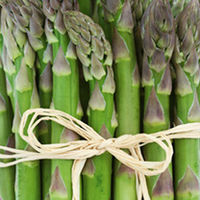 Asparagus Crowns - Twin Pack