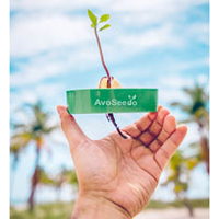 Avoseedo