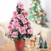 Azalea Tree - Bi-colour Pink