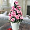 Azalea Tree