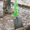 Backsaver Spade