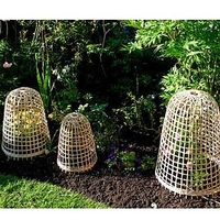 Bamboo Bell Cloches