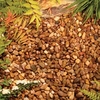 Barley Stone Chippings - Bulk