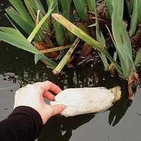 Barley Straw Bags