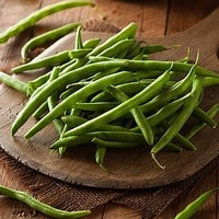 Bean (French Dwarf) Plants - Safari