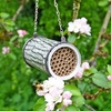 Bee Nester Tin