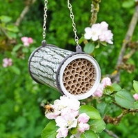 Bee Nester Tin