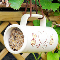 Bee Pollinator House