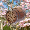 Bee-r Barrel