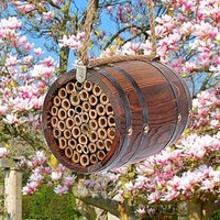 Bee-r Barrel