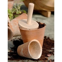 Beech Seed Tray Tamper - Round