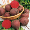 Beetroot Detroit 2 - New Globe Seeds