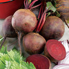 Beetroot Plants - Alto F1