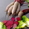 Beetroot Seeds - Alto F1