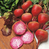 Beetroot Seeds - Chioggia Pink