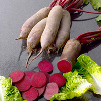 Beetroot Seeds - Continuity Duo Pack