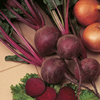 Beetroot Seeds - Moneta