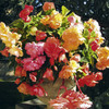 Begonia Tubers - Scented Collection