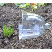 Bell Glass Cloche - Large