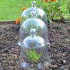 Bell Glass Cloche - Medium