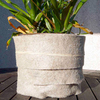 Biodegradable Plant Blanket - Biofilia