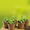 Biodegradable Pots